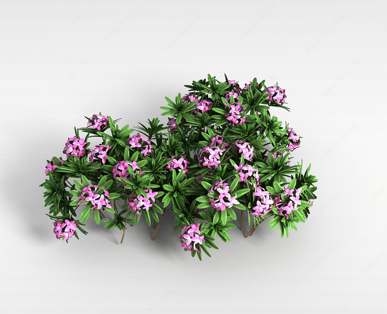 公园植物3D模型
