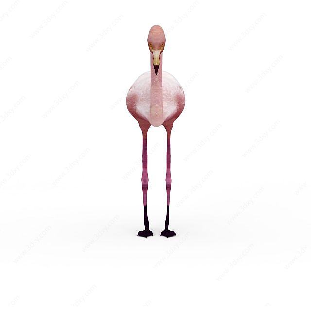 粉色天鹅3D模型
