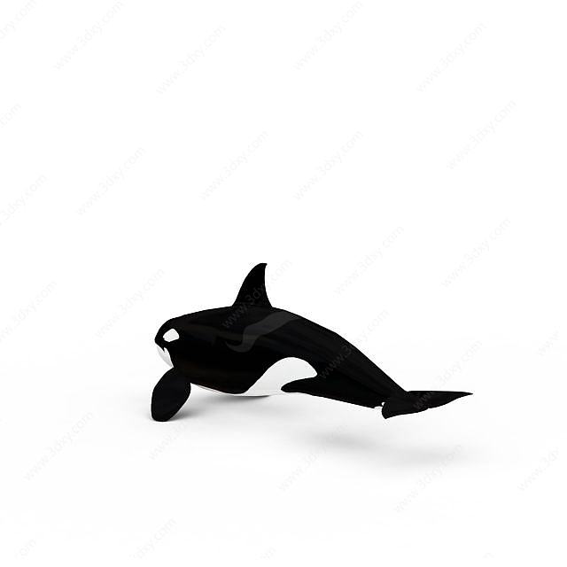虎鲸3D模型
