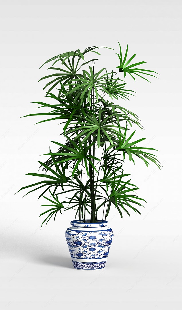袖珍椰子树3D模型