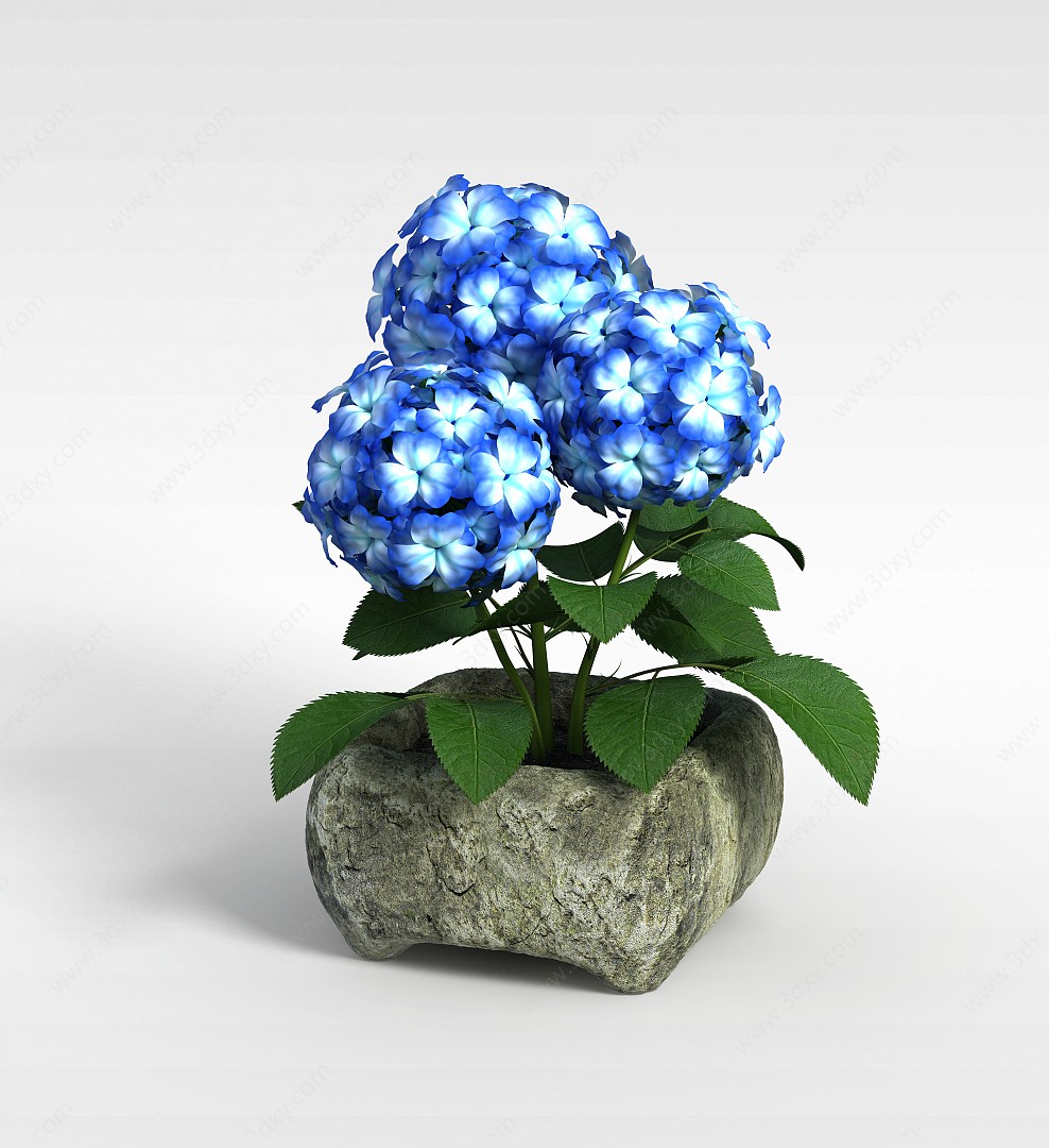 蓝色装饰花3D模型