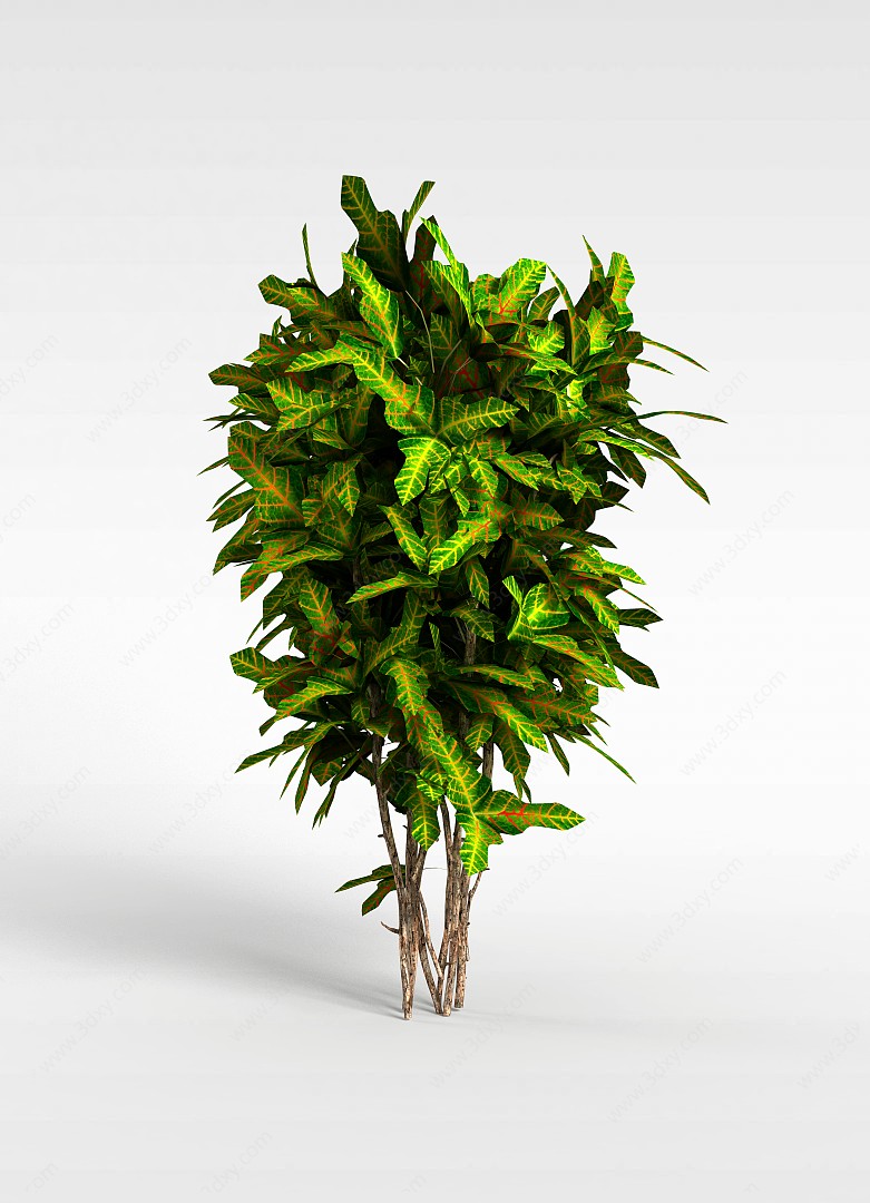 灌木绿植3D模型