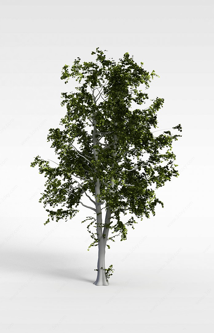 园林树3D模型