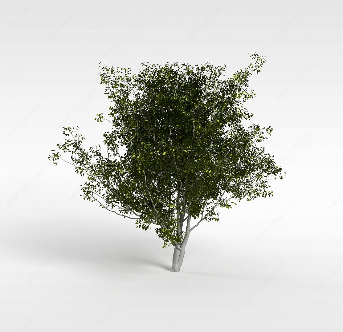 大树3D模型