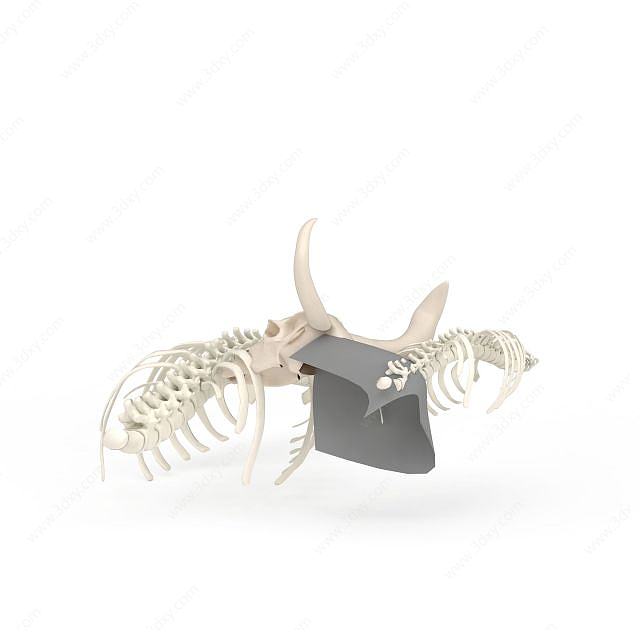 动物化石3D模型