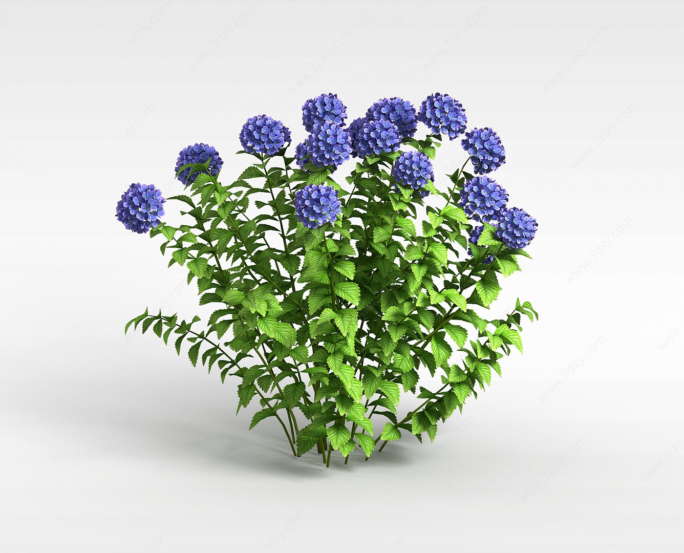 蓝色花丛3D模型