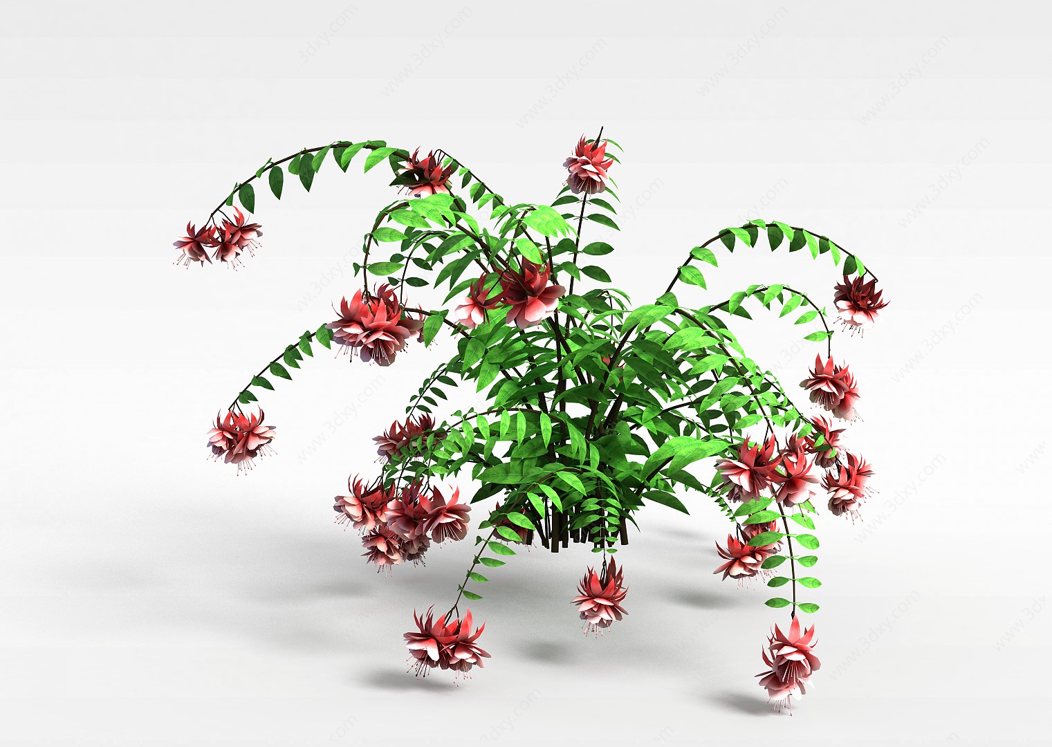 开花绿植3D模型