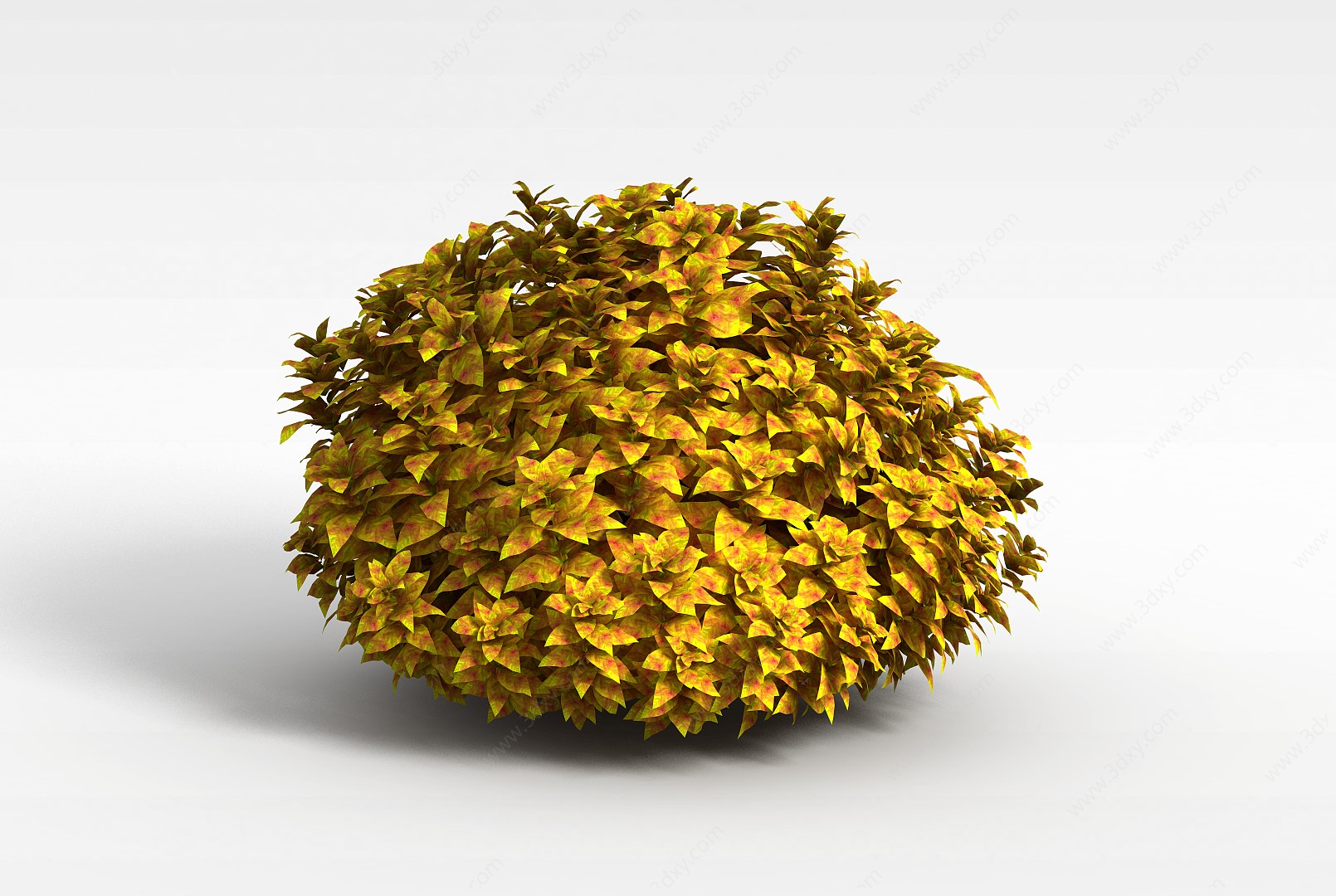 球形灌木3D模型