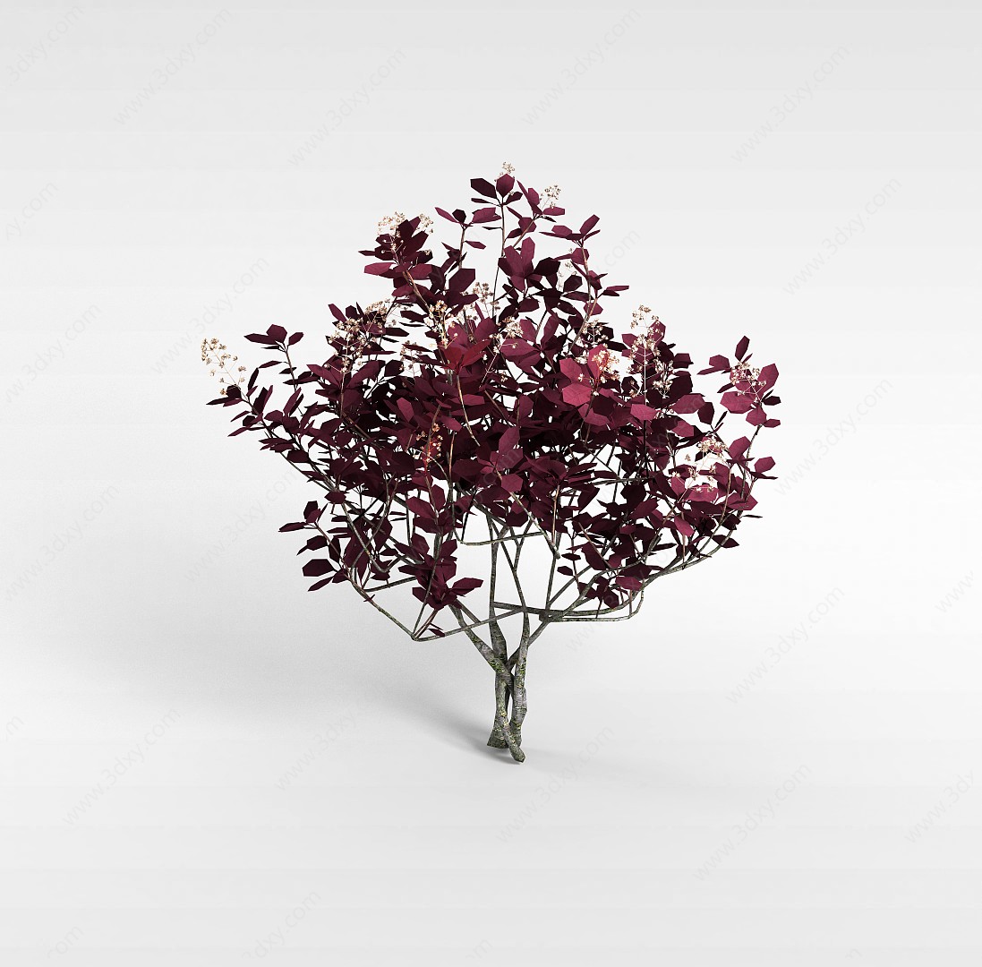 红色开花灌木3D模型