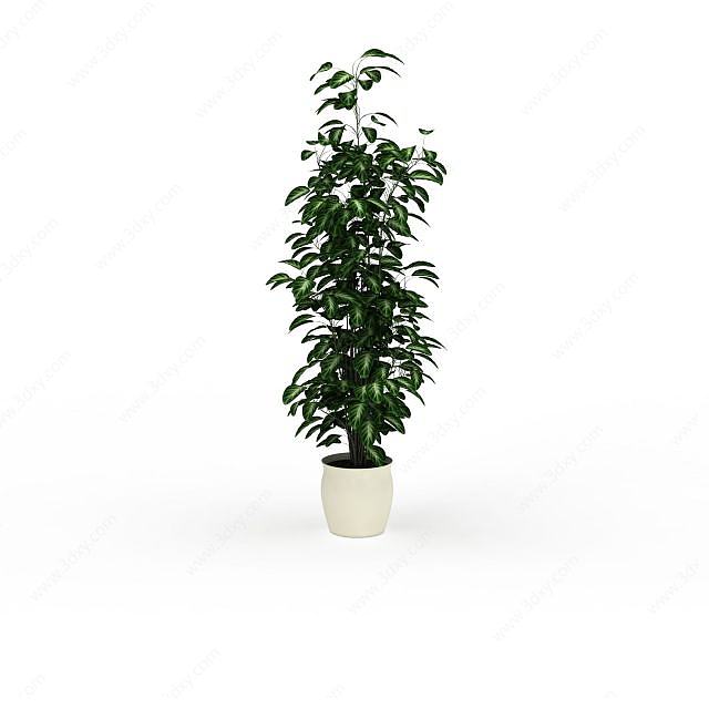 绿叶植物盆栽3D模型