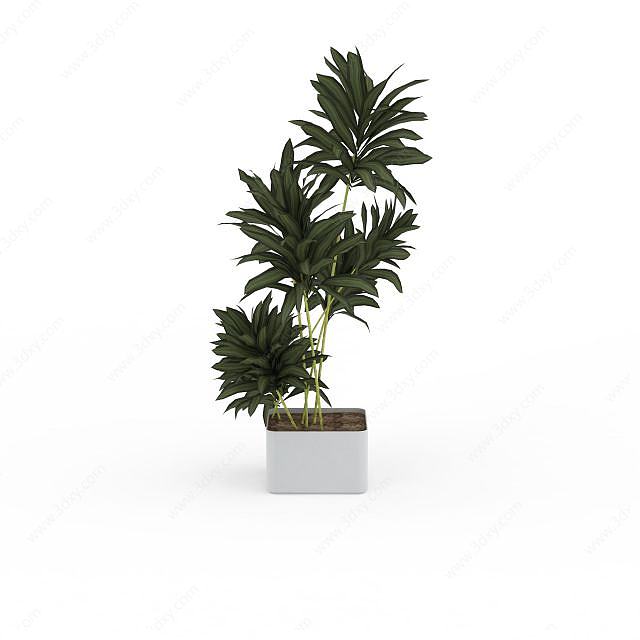 绿叶植物盆栽3D模型