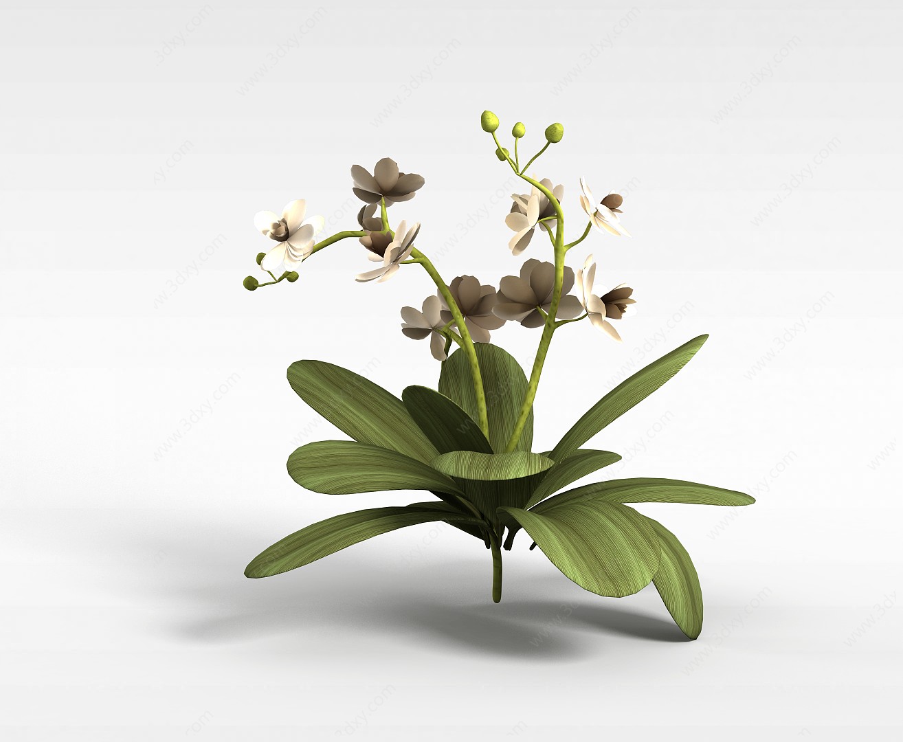 开花装饰绿植3D模型