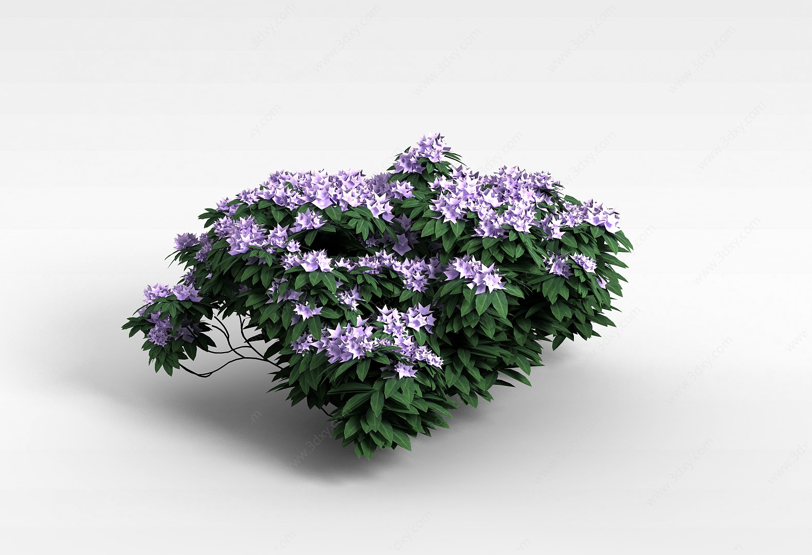 灌木紫色花株3D模型