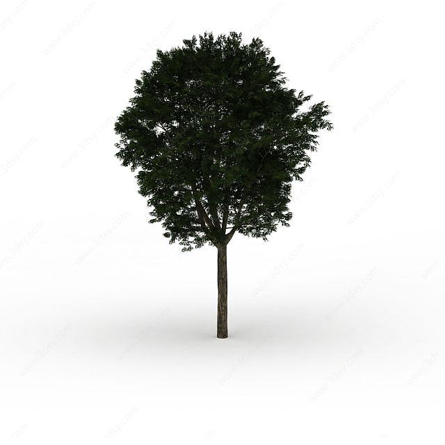 园林绿化大树3D模型