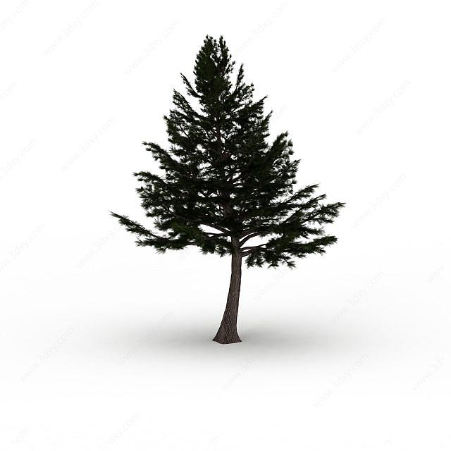 松树3D模型