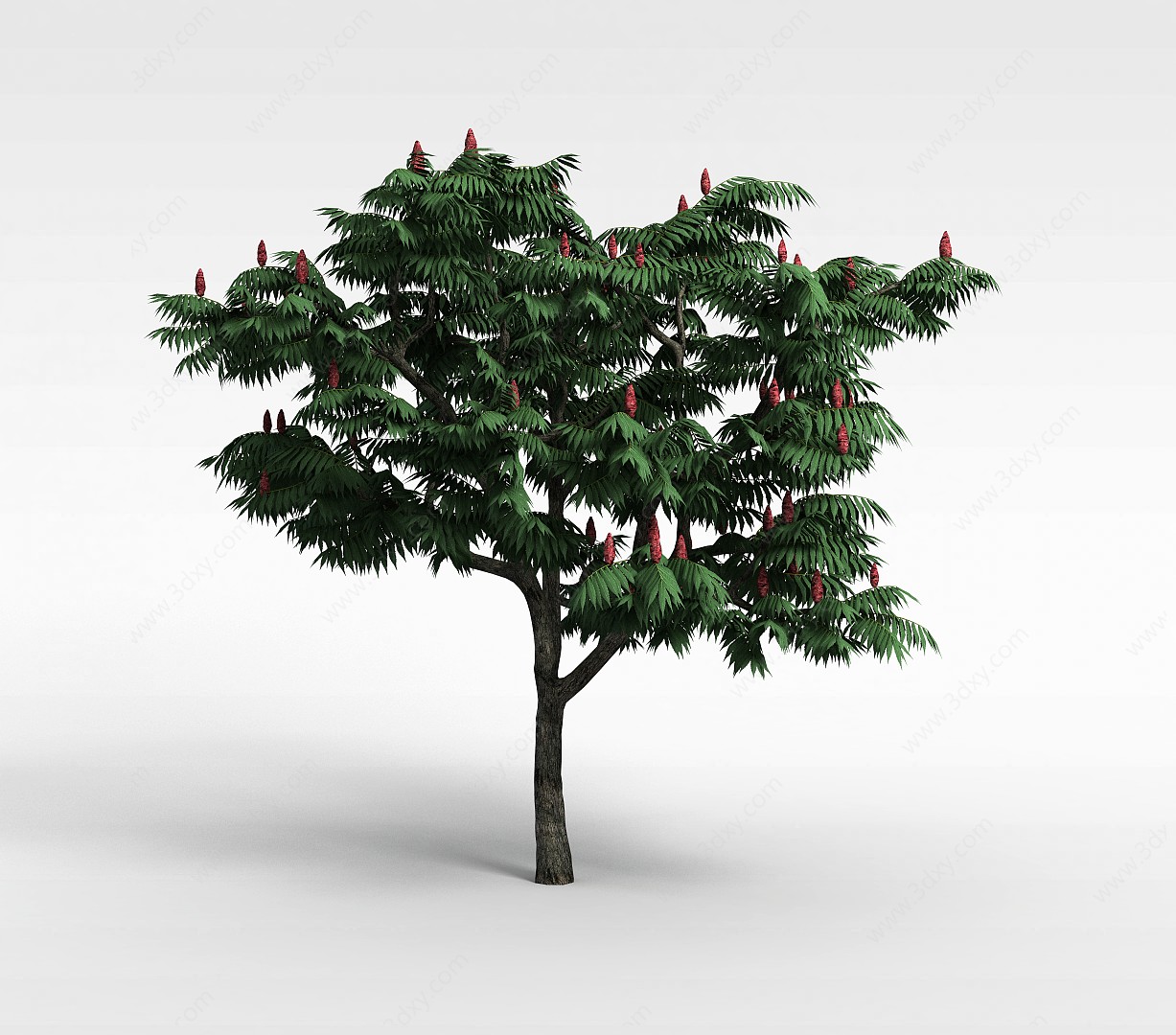 园林景观大树3D模型