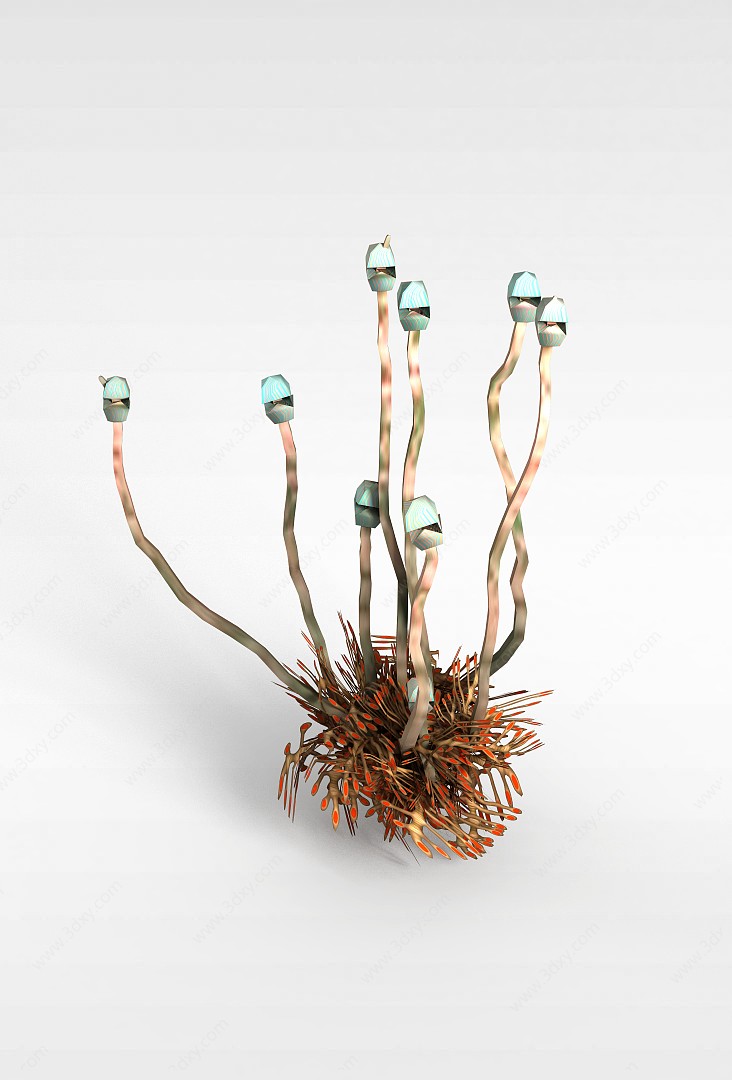 海底珍奇植物3D模型