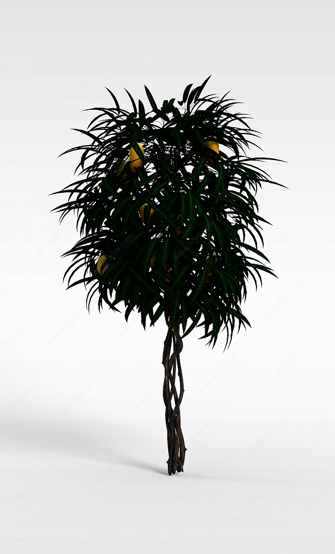 园林植物水果树3D模型