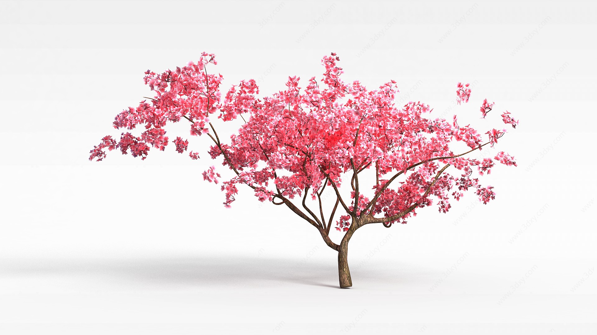 梅花树3D模型