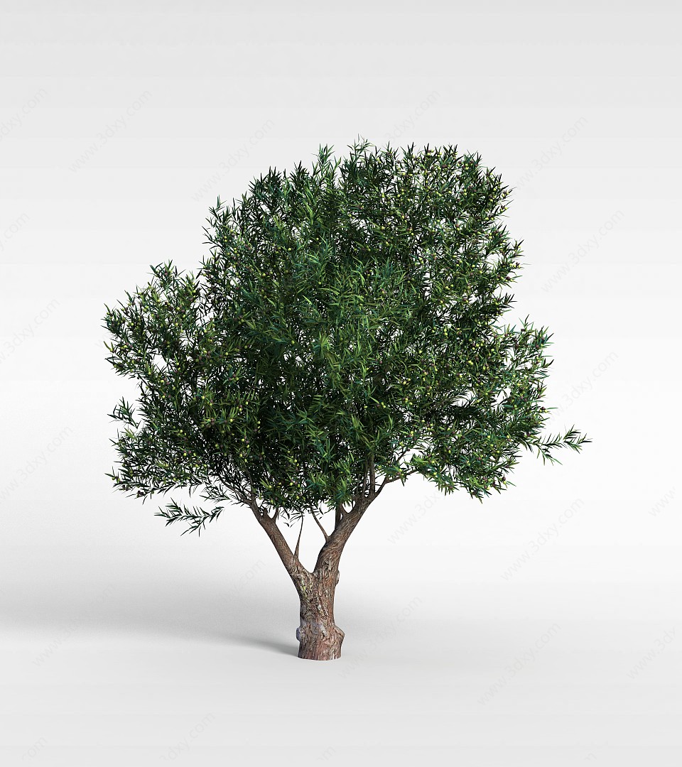 园林大柳树3D模型