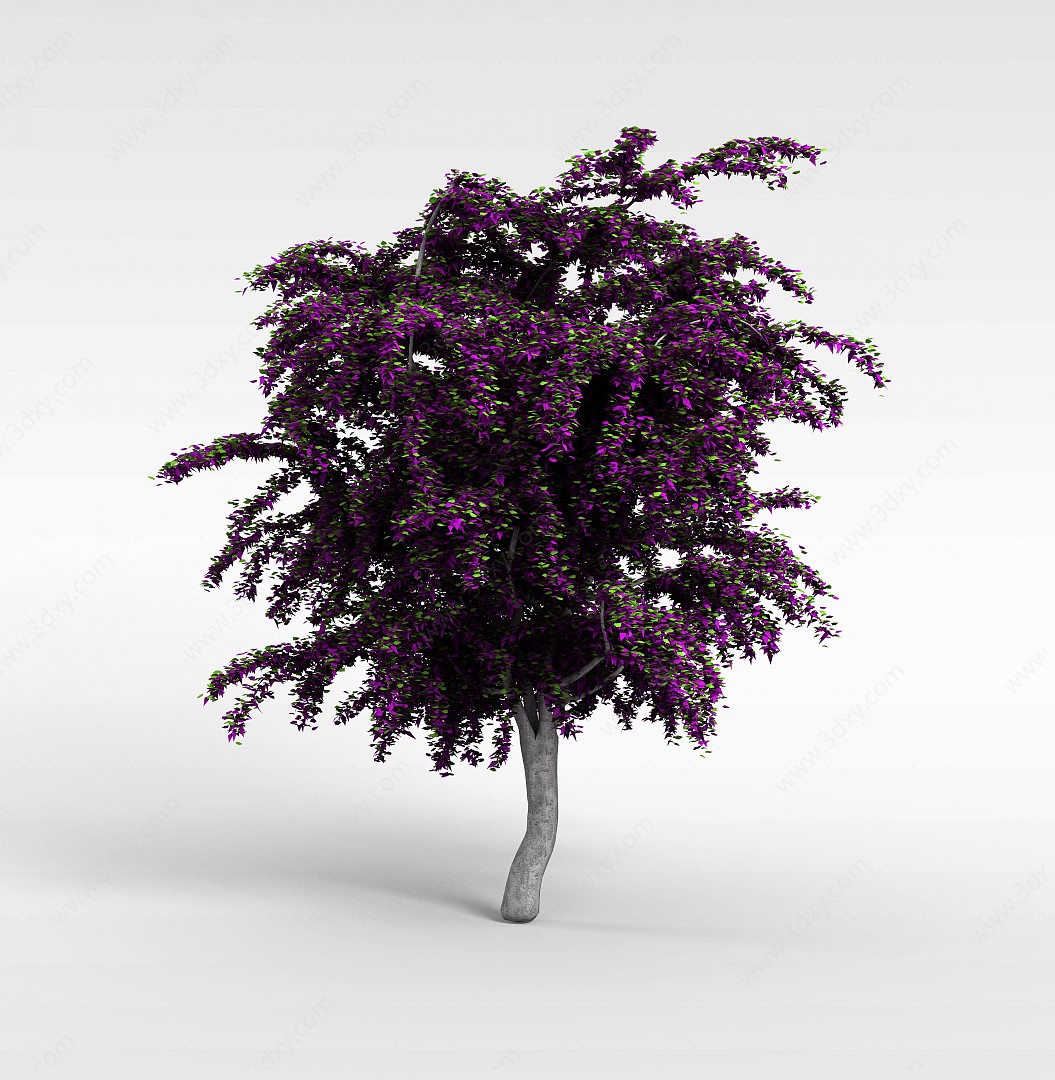 园林观赏大树3D模型