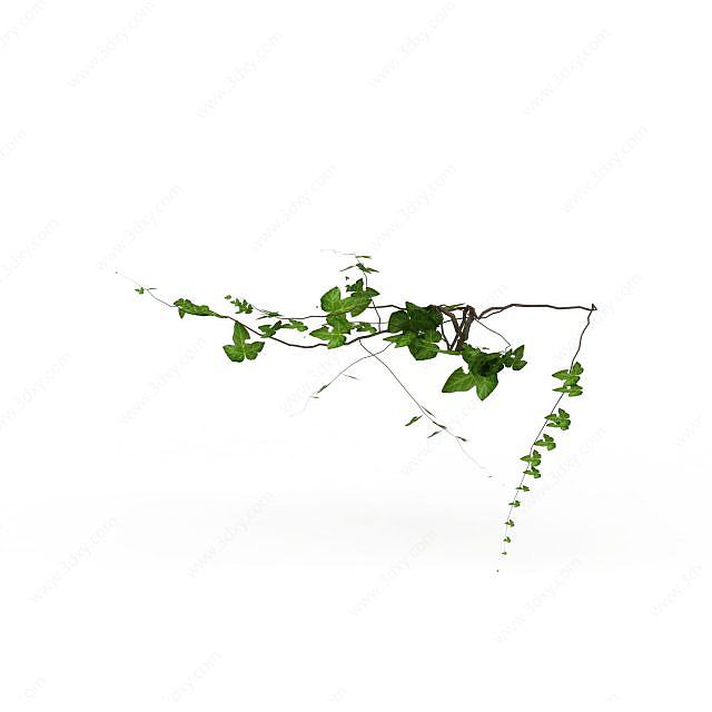 藤蔓植物3D模型