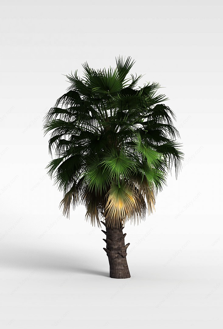 热带绿色植物3D模型