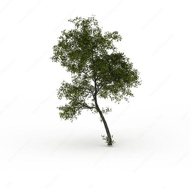 小树3D模型