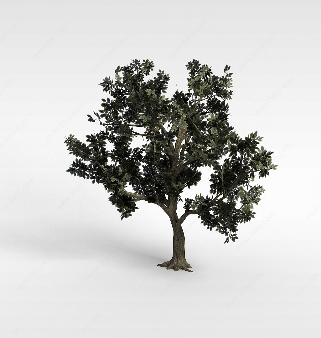 装饰树3D模型