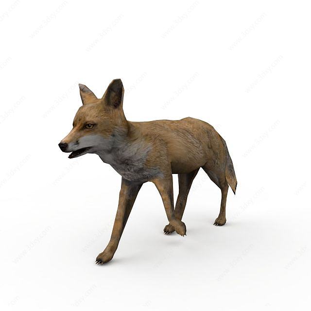 狐狸3D模型