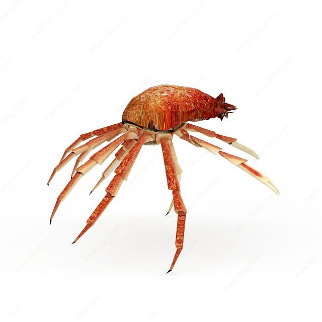 动物螃蟹海蟹3D模型
