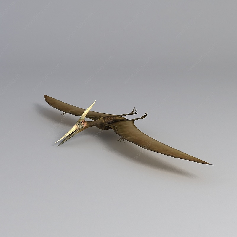 飞行恐龙3D模型