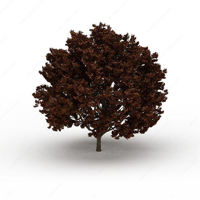 园林大树3D模型