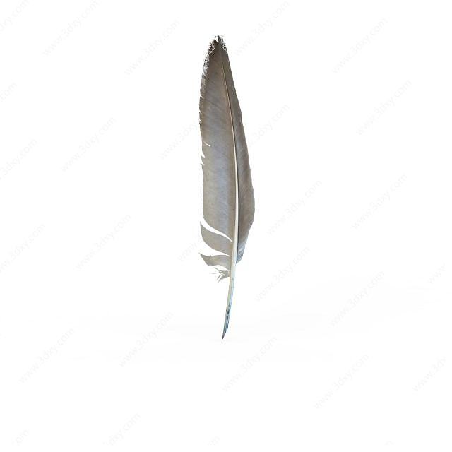 羽毛3D模型