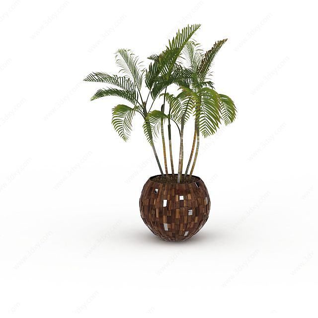 办公室袖珍椰子树3D模型
