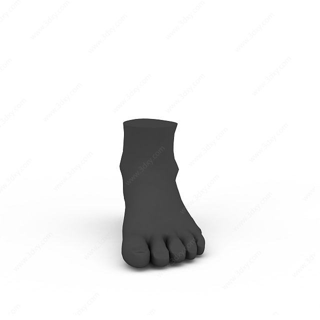 脚趾3D模型