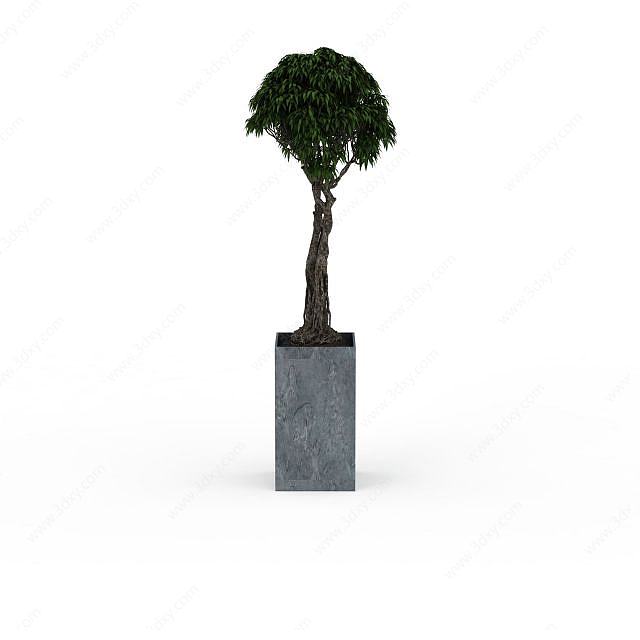 装饰树3D模型
