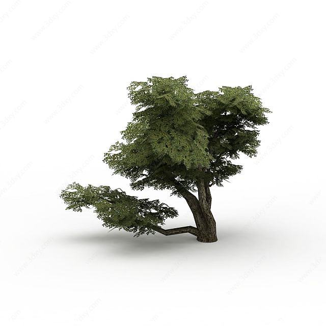 公园装饰树3D模型