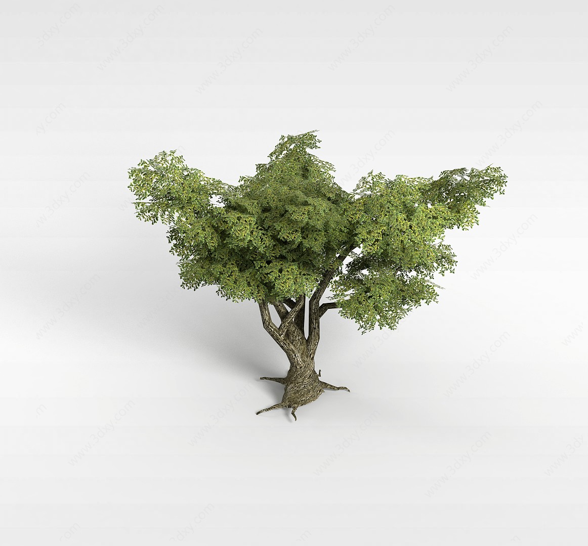 绿色植物树3D模型