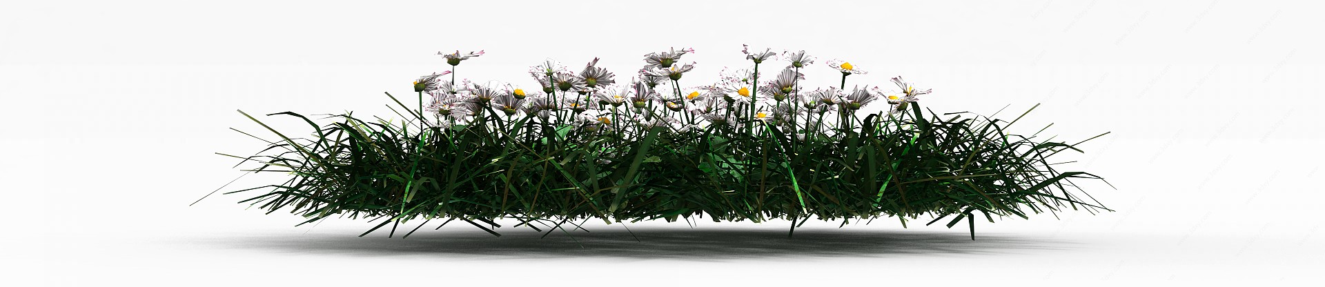 公园花草3D模型