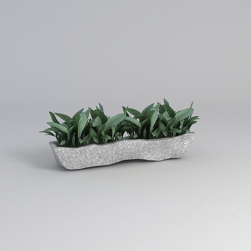 室内盆栽3D模型
