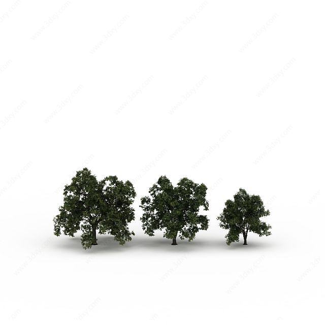 路边树3D模型