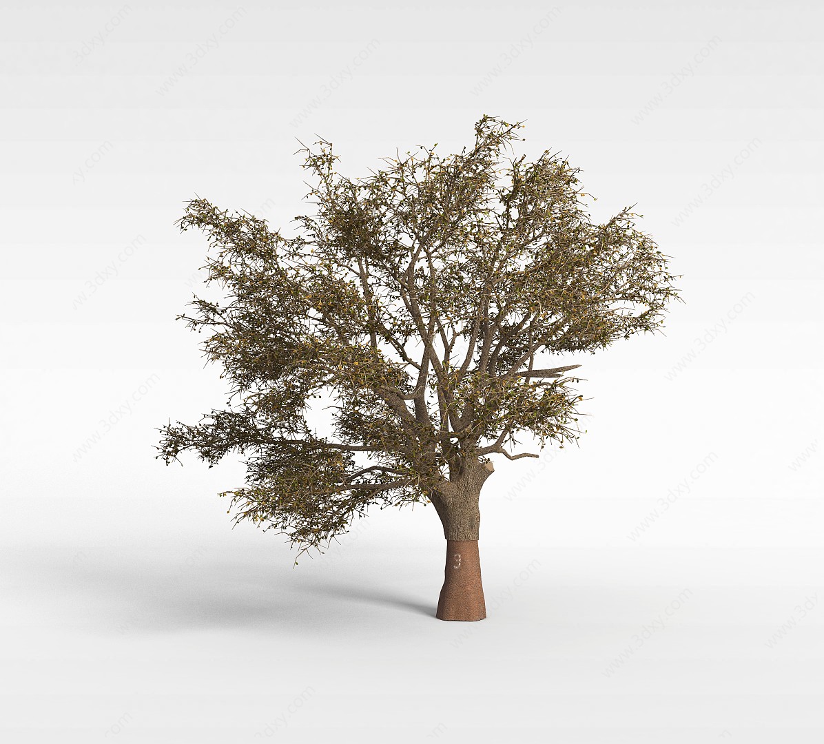 绿色景观树3D模型