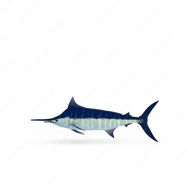 蓝色旗鱼3D模型