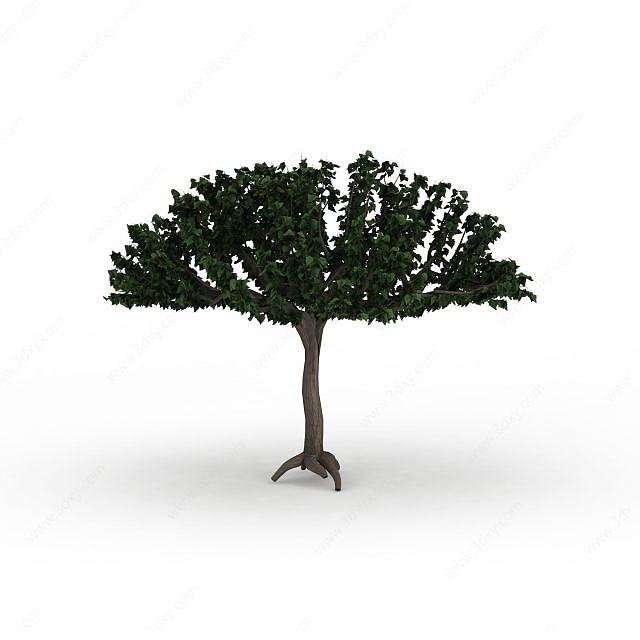 观赏树3D模型