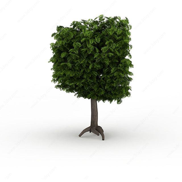 方形景观绿树3D模型