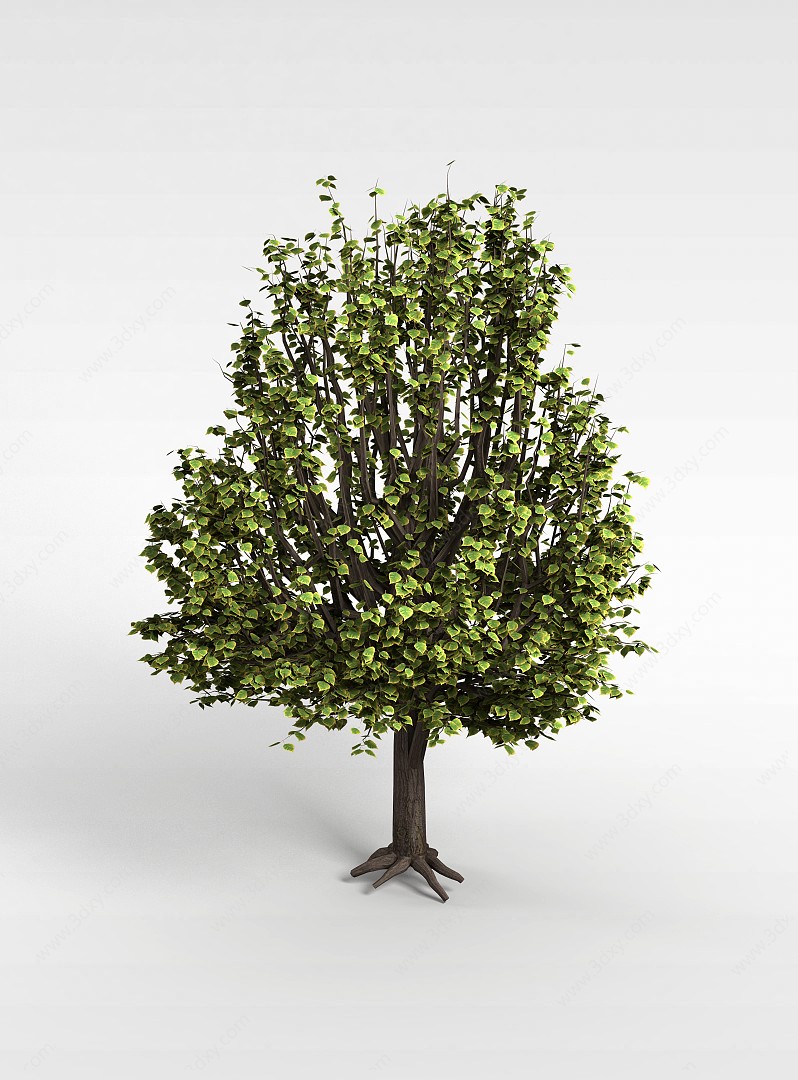公园绿色树木3D模型