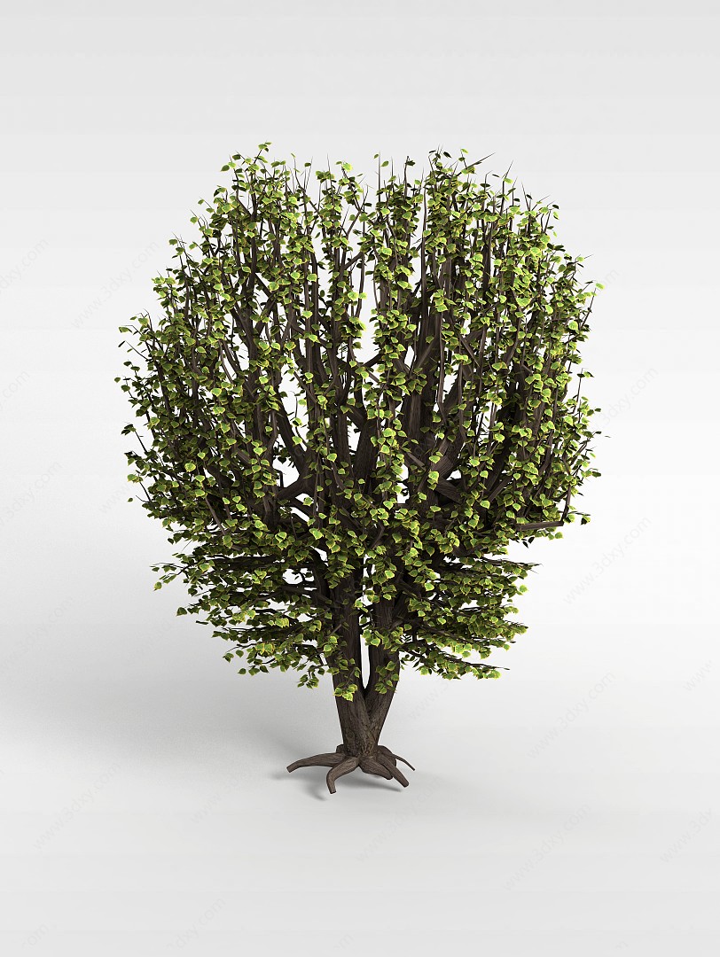 绿叶分支树木3D模型