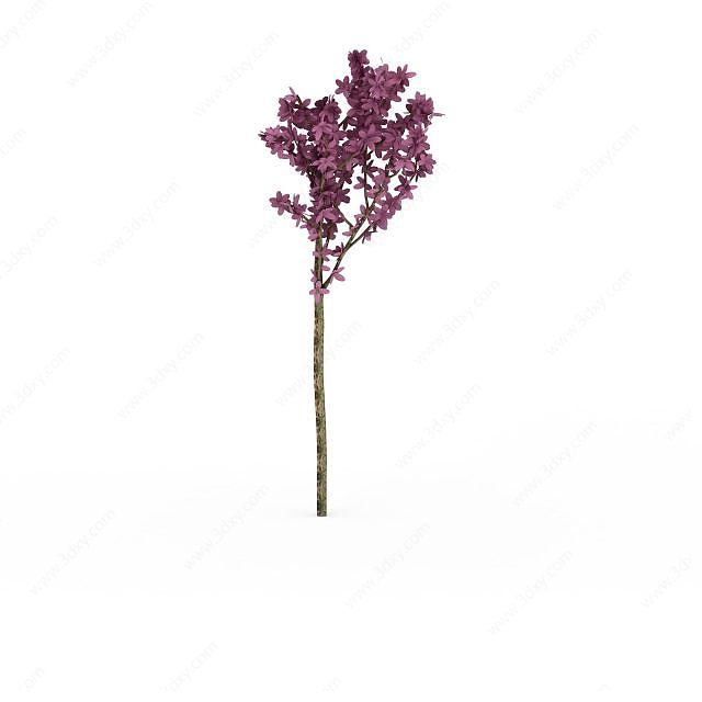 景观紫花树3D模型