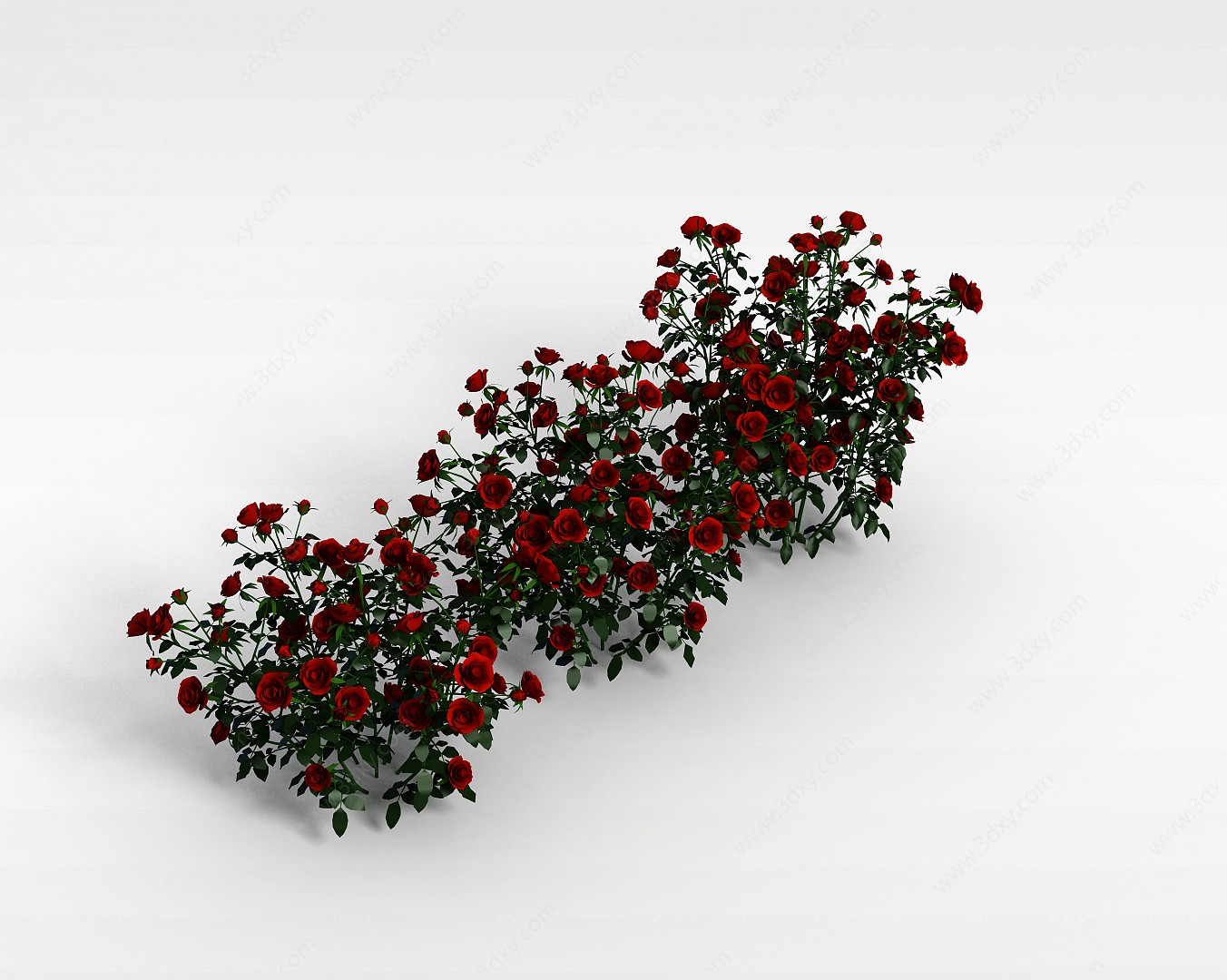 红花植物3D模型